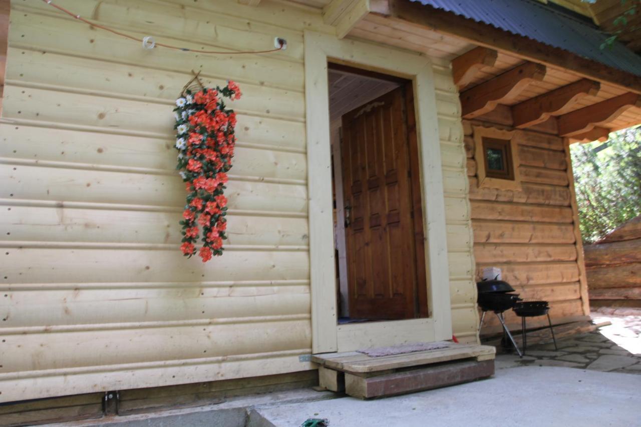 Domek Pod Zielonym Lasem Zakopane Bagian luar foto